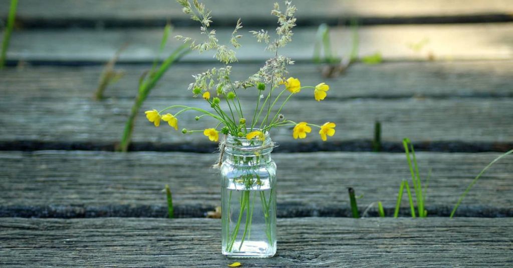 glass jar filled with flowers