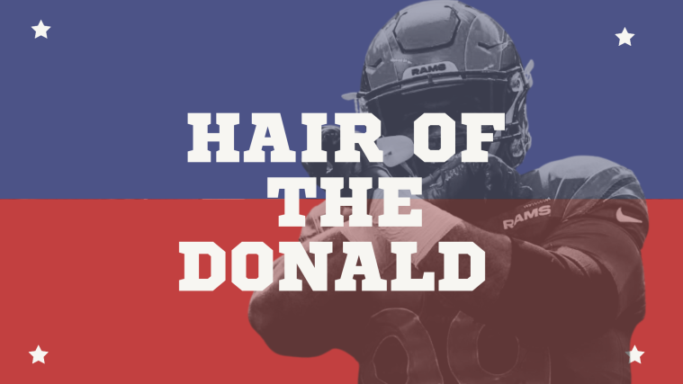 Hair of The Donald