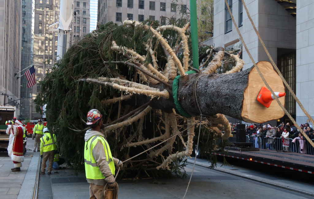 Rockefeller Center Christmas Tree Arrives in New York City