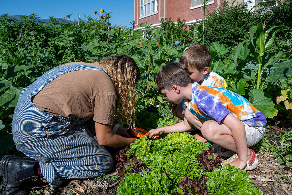 Children's Summer Program Funding on Hold