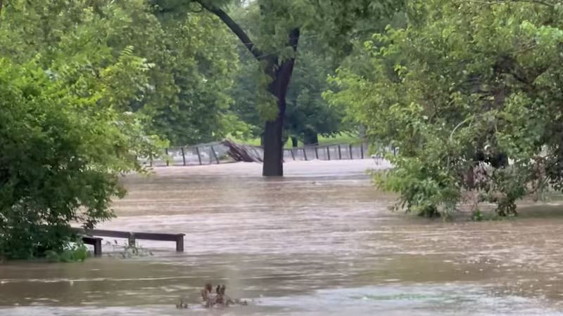 Flooded park with benches submerged in rushing water, surrounded by lush green trees.