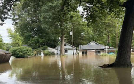 Flooded residential neighborhood with houses partially submerged in standing water and trees in the foreground.