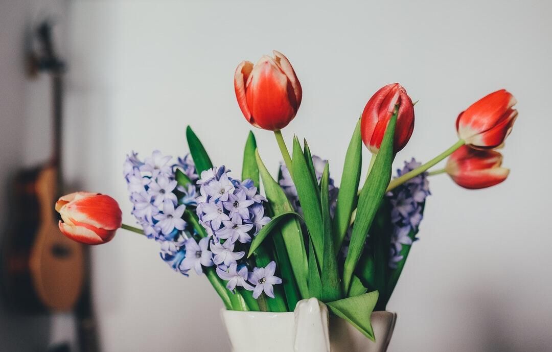 The case for choosing seasonal flowers